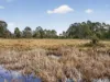Lot 1 Pitts Road, Moogara, Tas 7140-Image