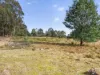 Lot 1 Pitts Road, Moogara, Tas 7140-Image