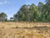 Lot 1 Pitts Road, Moogara, Tas 7140-Image