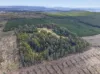 Lot 1 Pitts Road, Moogara, Tas 7140-Image