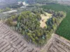 Lot 1 Pitts Road, Moogara, Tas 7140-Image