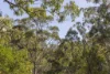 Lot 1 Post Office Road, Ravensbourne QLD 4352-Image
