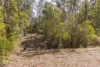 Lot 1 Post Office Road, Ravensbourne QLD 4352-Image