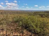 Lot 1 Post Office Road, Ravensbourne QLD 4352-Image