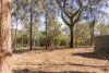 Lot 1 Post Office Road, Ravensbourne QLD 4352-Image