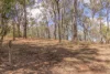 Lot 1 Post Office Road, Ravensbourne QLD 4352-Image