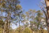 Lot 1 Post Office Road, Ravensbourne QLD 4352-Image