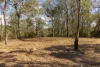 Lot 1 Post Office Road, Ravensbourne QLD 4352-Image