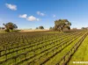 Lot 1 Wynns Road, Flaxman Valley, SA 5235-Image