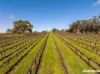Lot 1 Wynns Road, Flaxman Valley, SA 5235-Image