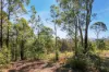Lot 10, Pindimar NSW 2324-Image