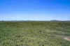 Lot 10, Pindimar NSW 2324-Image