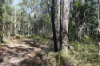 Lot 10, Pindimar NSW 2324-Image