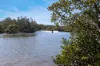 Lot 10, Pindimar NSW 2324-Image