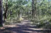 Lot 10, Pindimar NSW 2324-Image