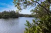 Lot 10, Pindimar NSW 2324-Image