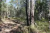 Lot 10 Pindimar Road, Pindimar, NSW 2324-Image