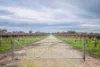 Lot  10 V&A Lane Penola, Coonawarra, SA 5263