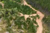 Lot 100 Brockman Highway, East Nannup, WA 6275-Image