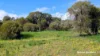 Lot 101 Chitna Road, Neergabby, WA 6503-Image