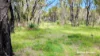 Lot 101 Chitna Road, Neergabby, WA 6503-Image