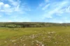 Lot 103 Jutland Road, Eden Valley, SA 5235-Image
