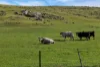 Lot 103 Jutland Road, Eden Valley, SA 5235-Image