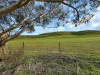 Lot 103 Jutland Road, Eden Valley, SA 5235-Image