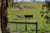 Lot 103 Jutland Road, Eden Valley, SA 5235-Image