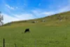 Lot 103 Jutland Road, Eden Valley, SA 5235-Image
