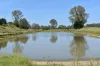 lot 103 Pidgeons Road, Tiaro, Qld 4650-Image