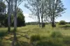 lot 103 Pidgeons Road, Tiaro, Qld 4650-Image