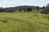 lot 103 Pidgeons Road, Tiaro, Qld 4650-Image