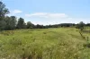 lot 103 Pidgeons Road, Tiaro, Qld 4650-Image