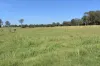 lot 103 Pidgeons Road, Tiaro, Qld 4650-Image