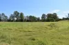 lot 103 Pidgeons Road, Tiaro, Qld 4650-Image