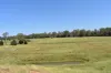 lot 103 Pidgeons Road, Tiaro, Qld 4650-Image