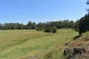 lot 103 Pidgeons Road, Tiaro, Qld 4650-Image