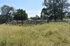 lot 103 Pidgeons Road, Tiaro, Qld 4650-Image