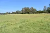 lot 103 Pidgeons Road, Tiaro, Qld 4650-Image