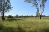 lot 103 Pidgeons Road, Tiaro, Qld 4650-Image