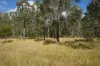 Lot 105 97 Long Gully Road, Drake, NSW 2469