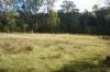 Lot 105 97 Long Gully Road, Drake, NSW 2469-Image