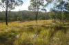Lot 105 97 Long Gully Road, Drake, NSW 2469-Image