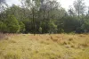 Lot 105 97 Long Gully Road, Drake, NSW 2469-Image