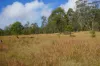 Lot 105 97 Long Gully Road, Drake, NSW 2469-Image
