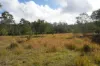 Lot 105 97 Long Gully Road, Drake, NSW 2469-Image