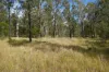 Lot 105 97 Long Gully Road, Drake, NSW 2469-Image