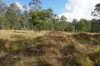 Lot 105 97 Long Gully Road, Drake, NSW 2469-Image