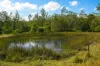 Lot 105 97 Long Gully Road, Drake, NSW 2469-Image